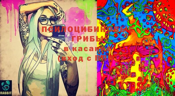 меф Алексин