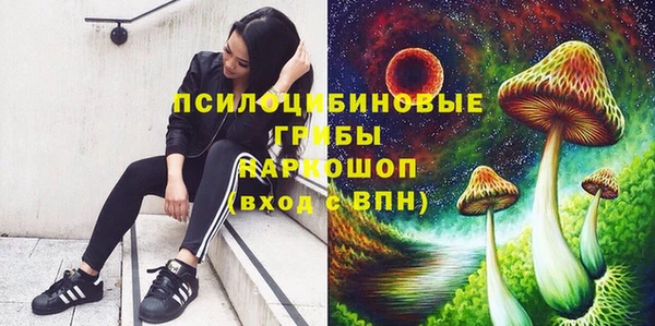 гидропоника Алзамай