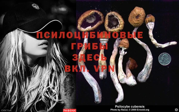 СК Алексеевка