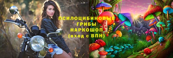 гидропоника Алзамай