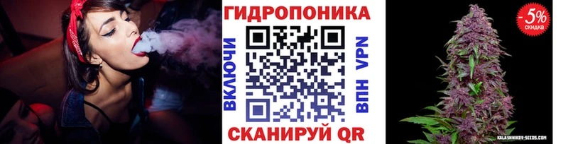 купить   Сенгилей  Марихуана гибрид 